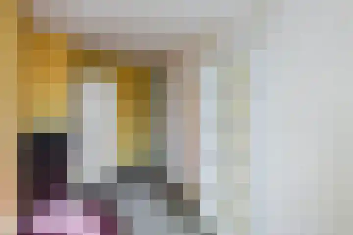 Varnebroek 14 Alkmaar thumbnail 17