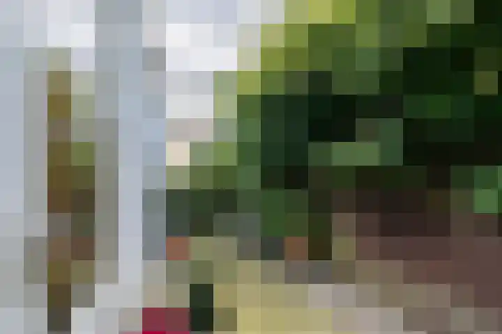 Varnebroek 14 Alkmaar thumbnail 20