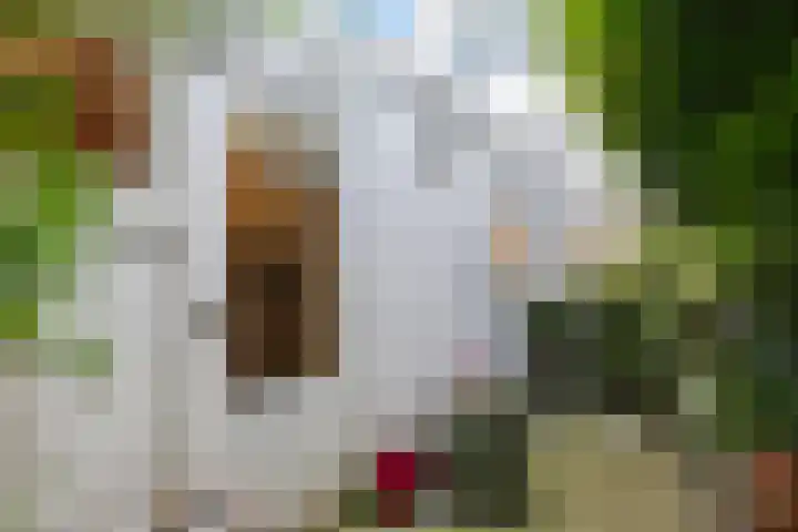 Varnebroek 14 Alkmaar thumbnail 21