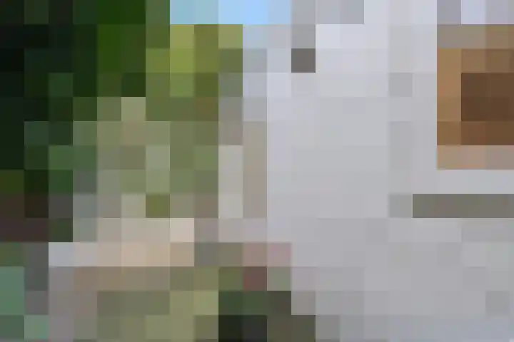 Varnebroek 14 Alkmaar thumbnail 22