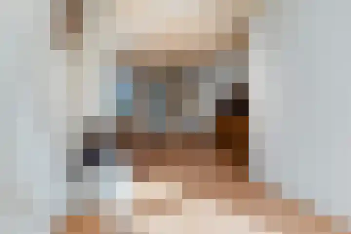 Varnebroek 14 Alkmaar thumbnail 4