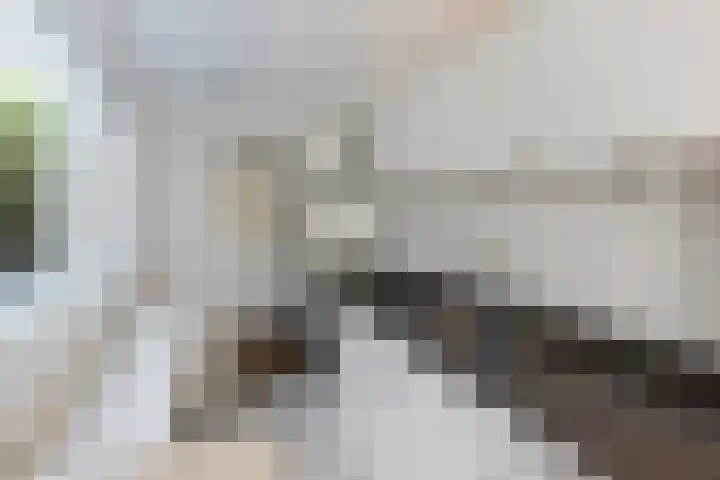 Varnebroek 14 Alkmaar thumbnail 8