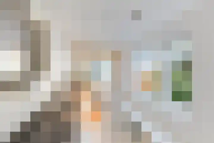 Varnebroek 14 Alkmaar thumbnail 9