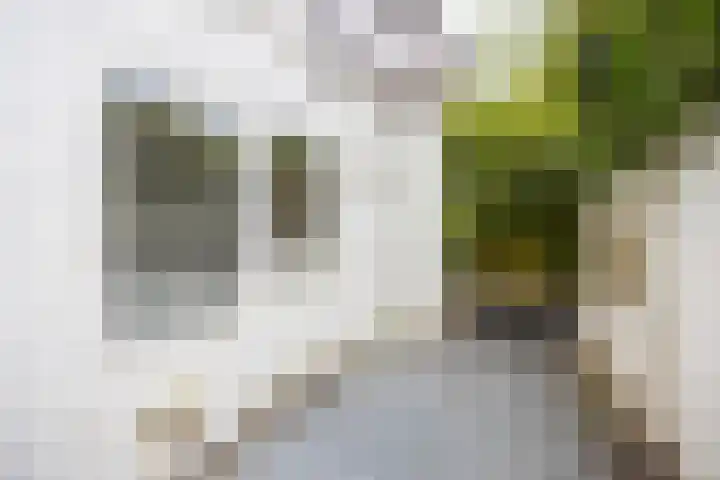 Varnebroek 16 Alkmaar thumbnail 11