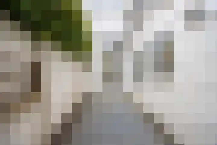 Varnebroek 16 Alkmaar thumbnail 12