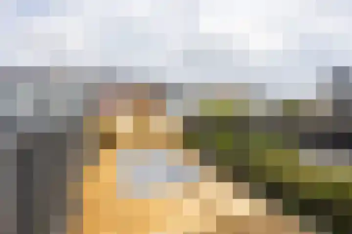 Varnebroek 16 Alkmaar thumbnail 18