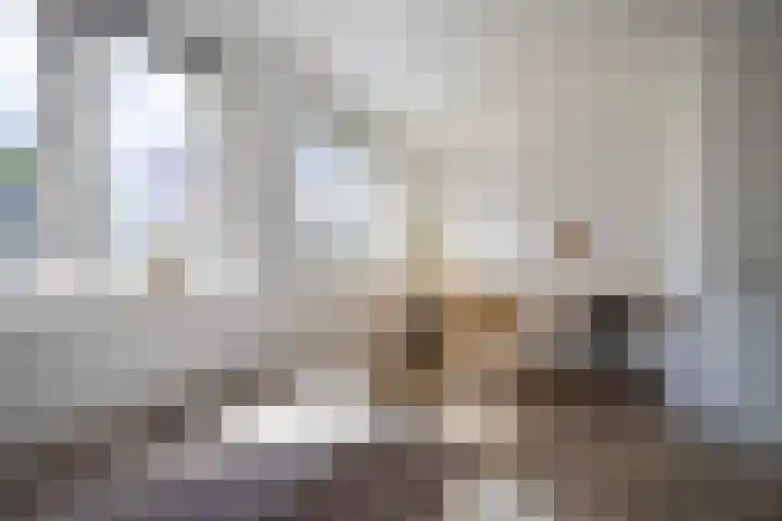 Varnebroek 16 Alkmaar thumbnail 23