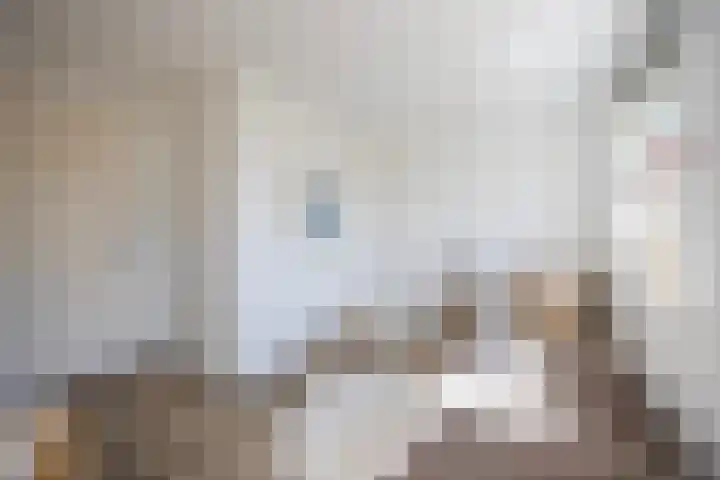 Varnebroek 16 Alkmaar thumbnail 24