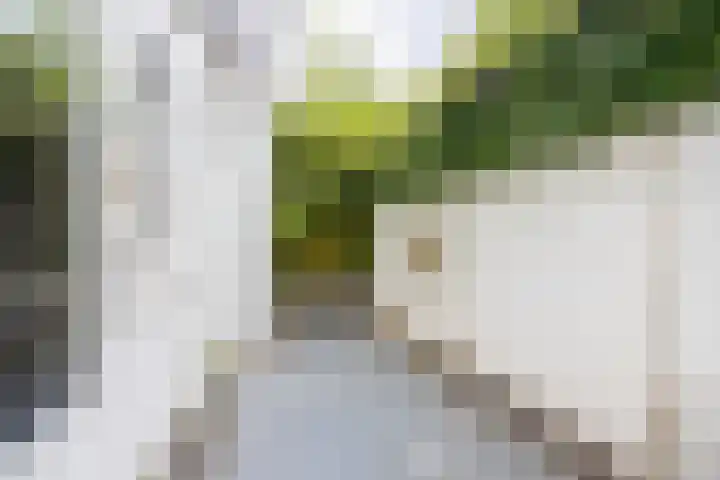 Varnebroek 16 Alkmaar thumbnail 4