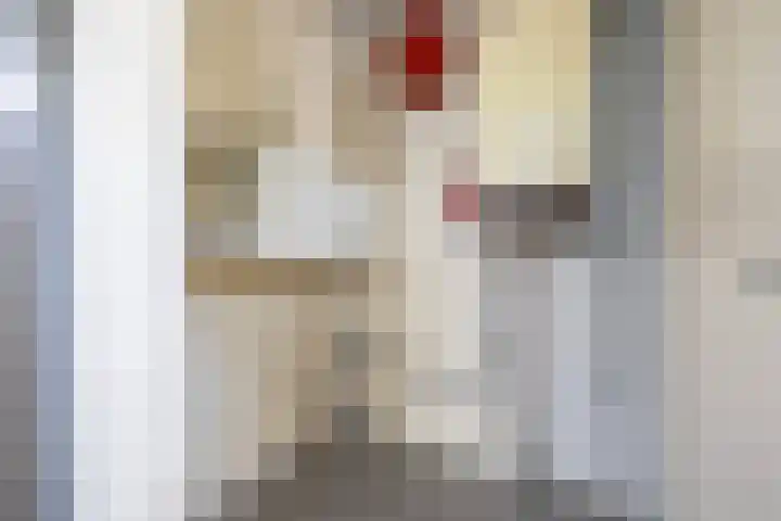 Varnebroek 16 Alkmaar thumbnail 9