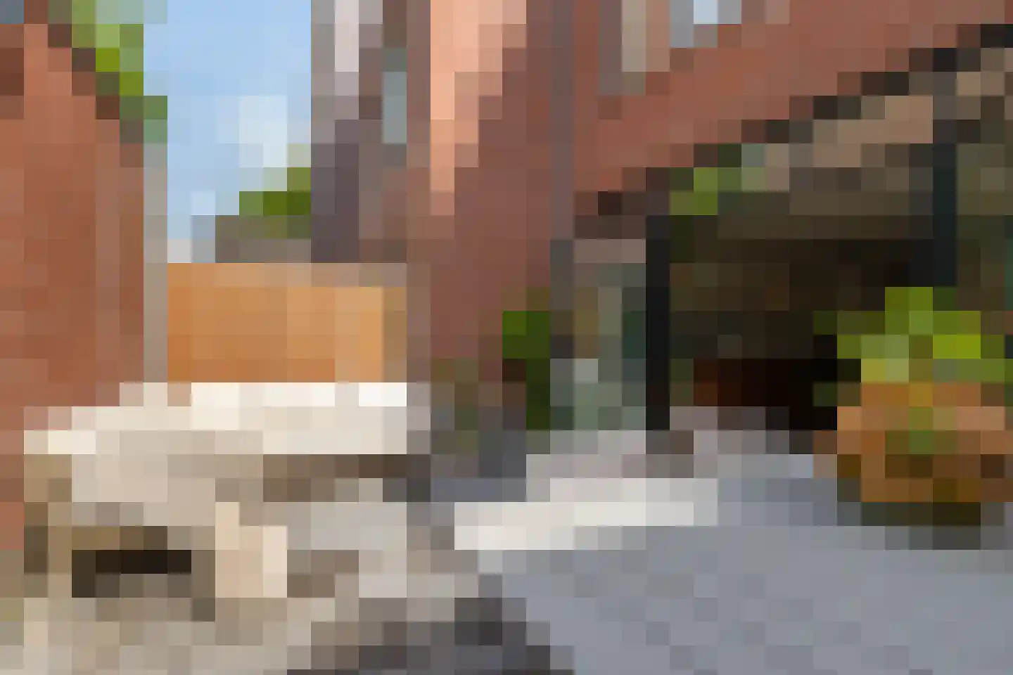 Varnebroek 53 Alkmaar thumbnail 15