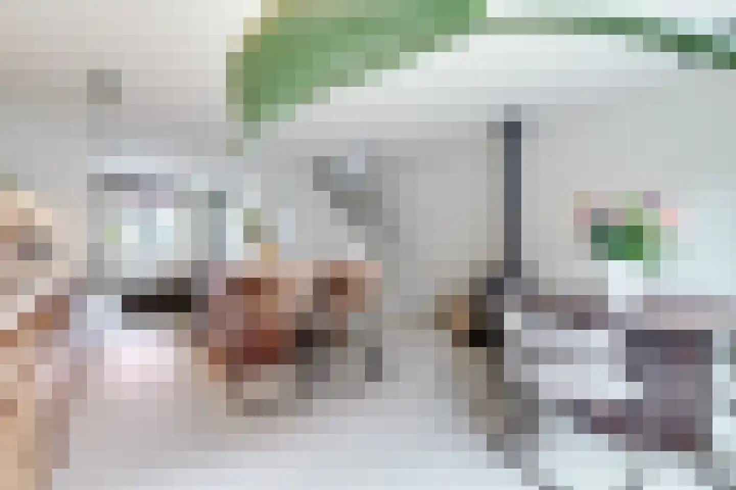 Varnebroek 53 Alkmaar thumbnail 18