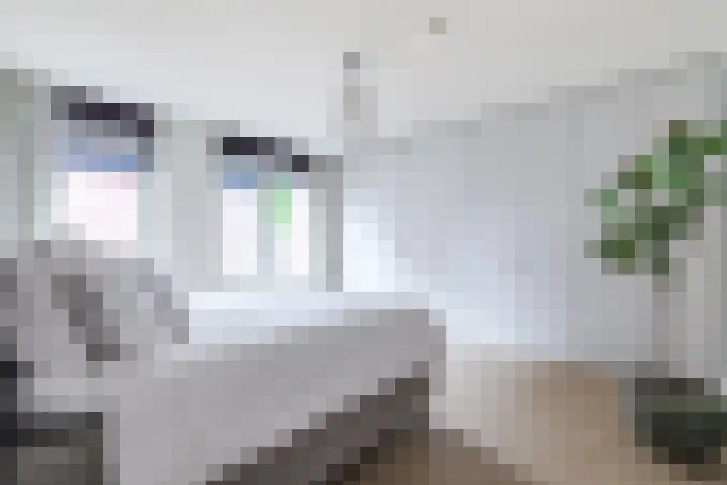 Varnebroek 53 Alkmaar thumbnail 24