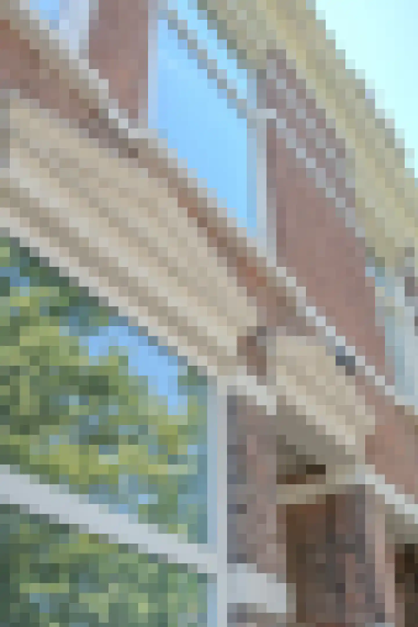 Varnebroek 7 Alkmaar thumbnail 10