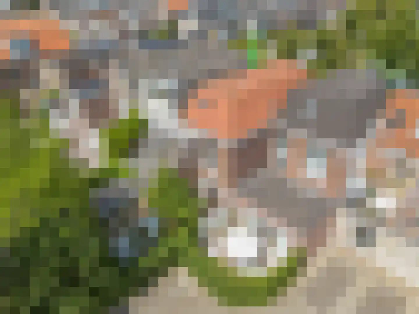 Varnebroek 7 Alkmaar thumbnail 29