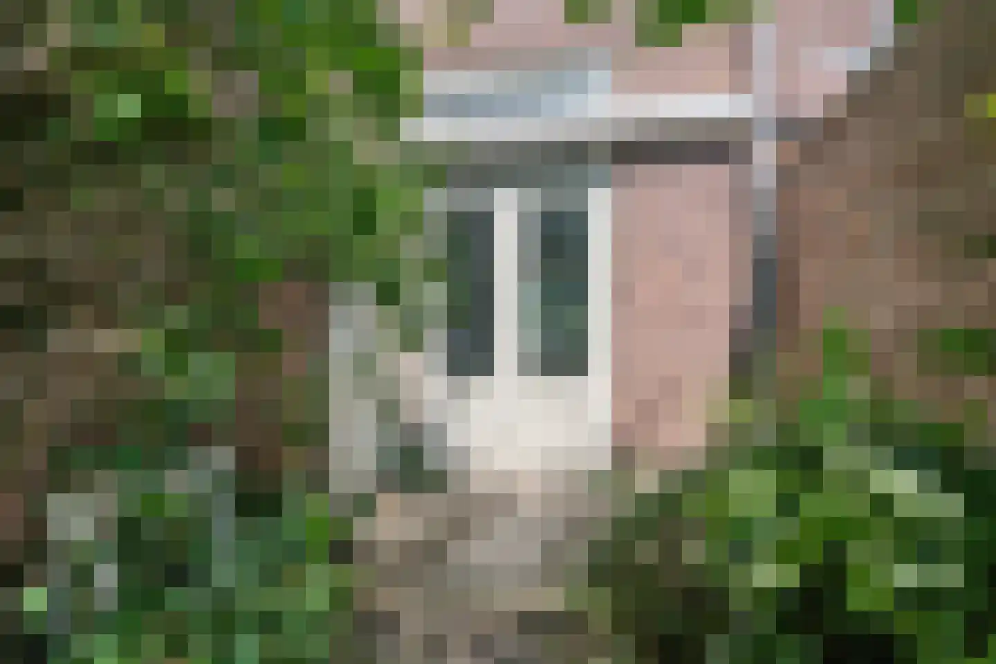 Varnebroek 7 Alkmaar thumbnail 30