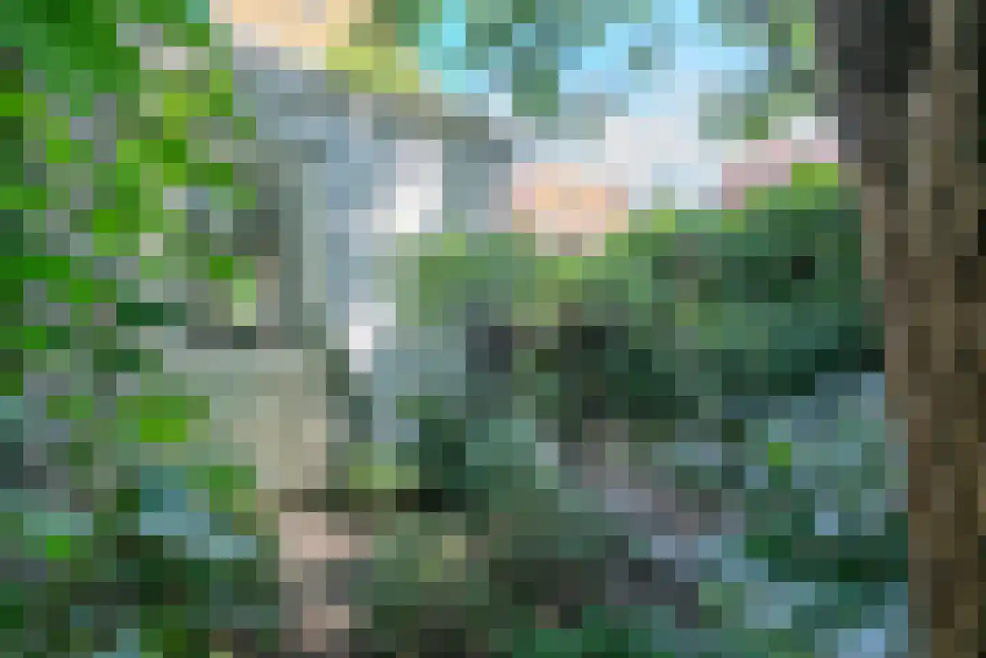 Varnebroek 7 Alkmaar thumbnail 32