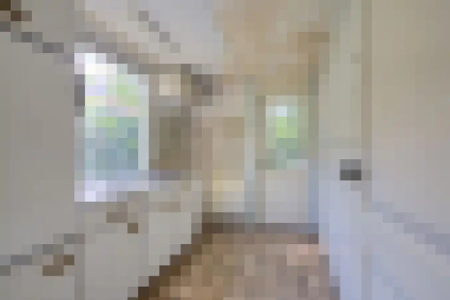 Varnebroek 7 Alkmaar thumbnail 35