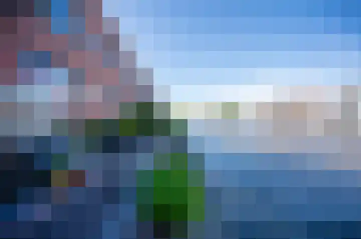 Varossieaupalet 31 Alphen aan den Rijn thumbnail 19