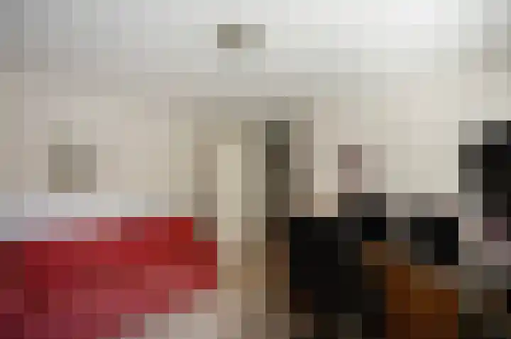 Varossieaupalet 31 Alphen aan den Rijn thumbnail 26
