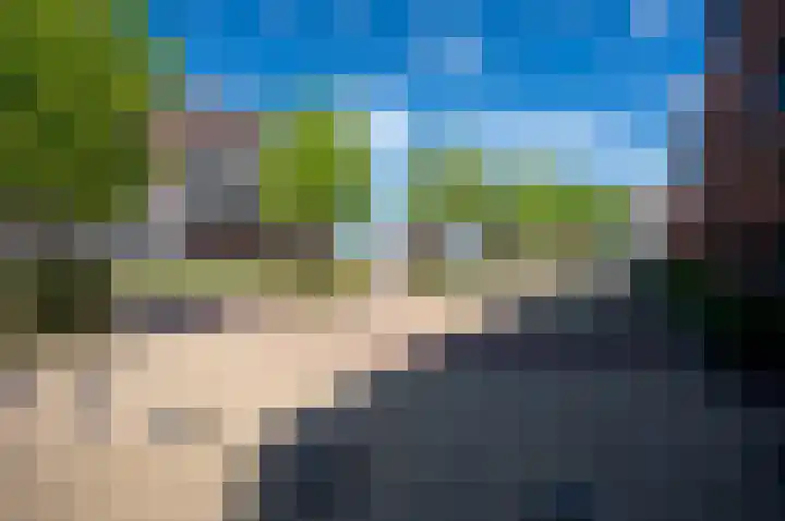Varossieaupalet 31 Alphen aan den Rijn thumbnail 29