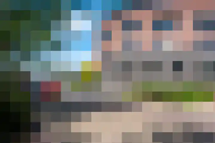 Varossieaupalet 31 Alphen aan den Rijn thumbnail 4