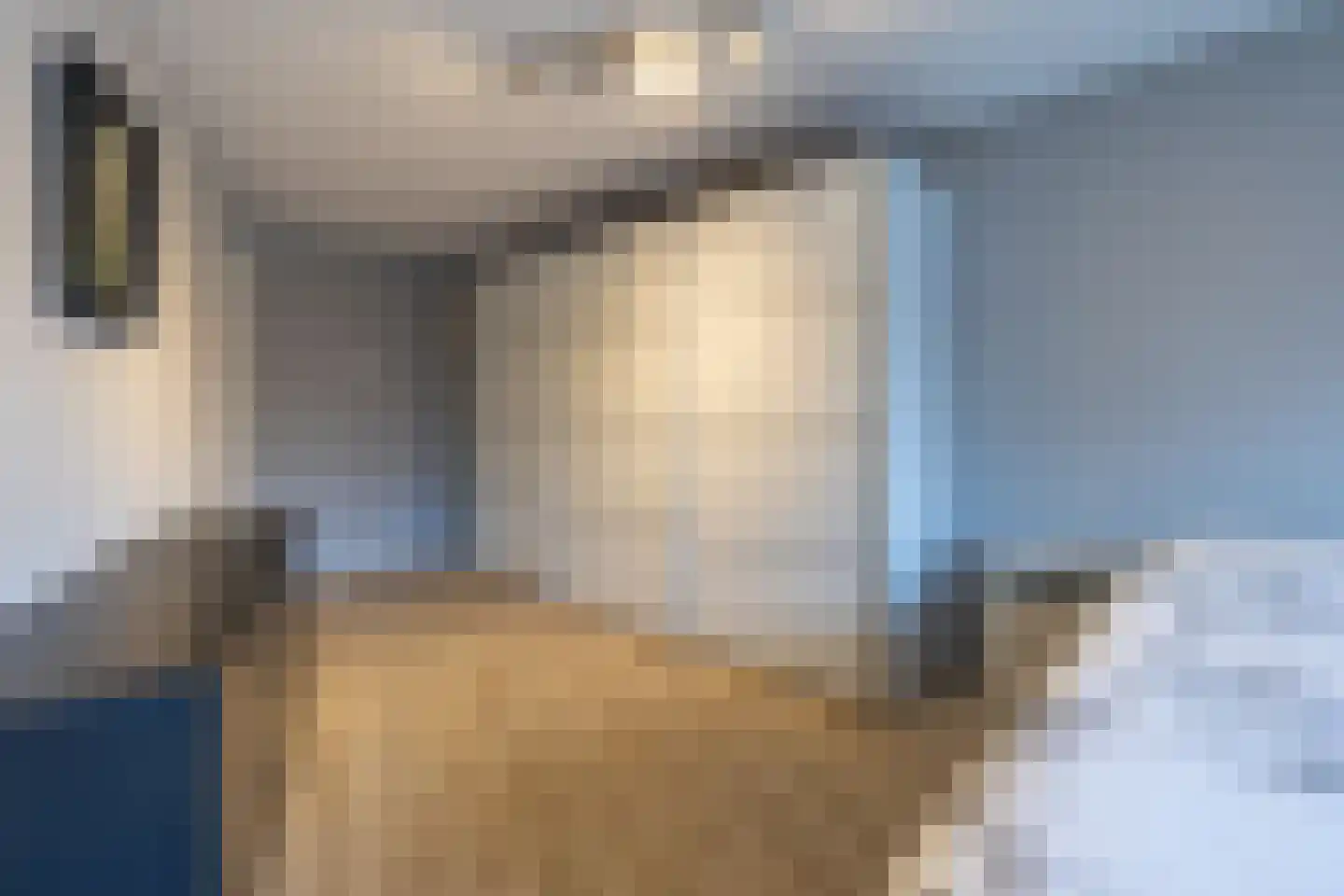 Varossieaupalet 33 Alphen aan den Rijn thumbnail 13