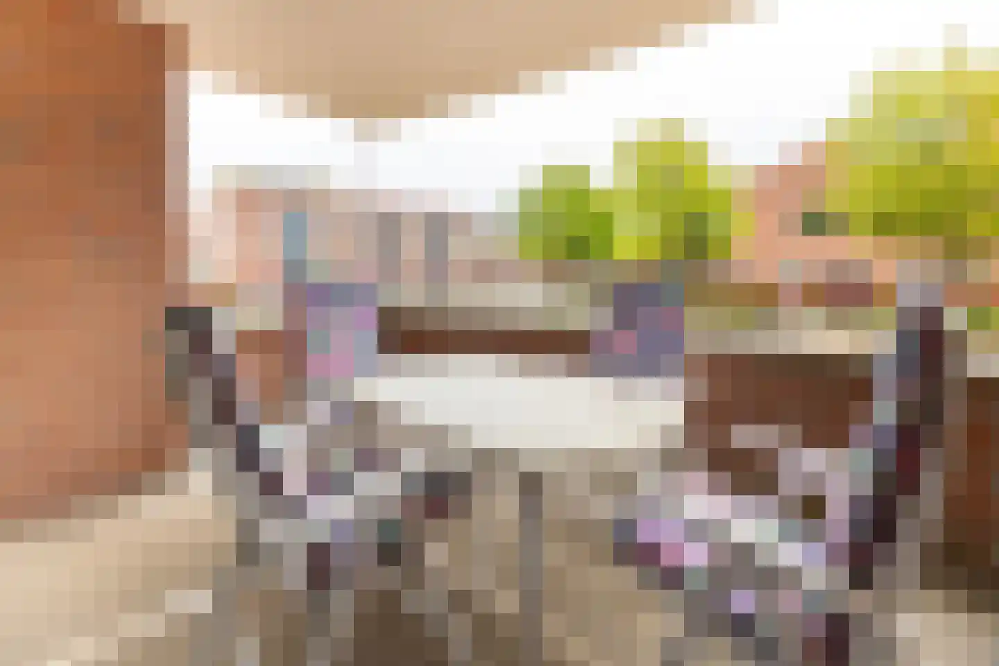 Varossieaupalet 33 Alphen aan den Rijn thumbnail 23