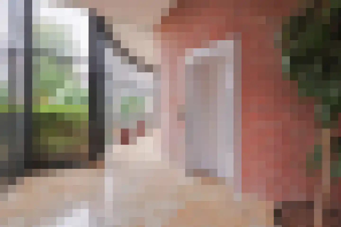 Varossieaupalet 33 Alphen aan den Rijn thumbnail 26