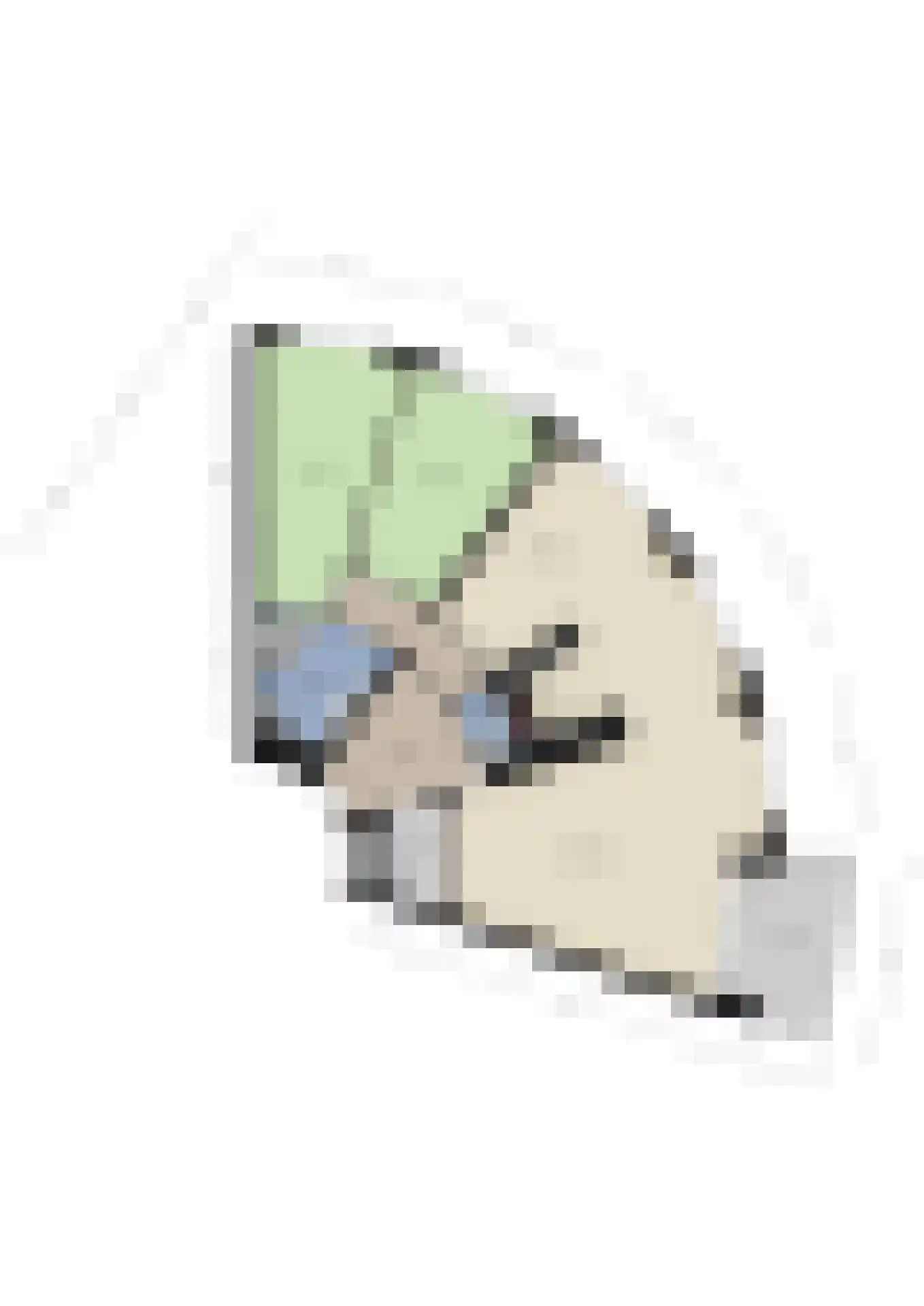 Varossieaupalet 33 Alphen aan den Rijn thumbnail 32