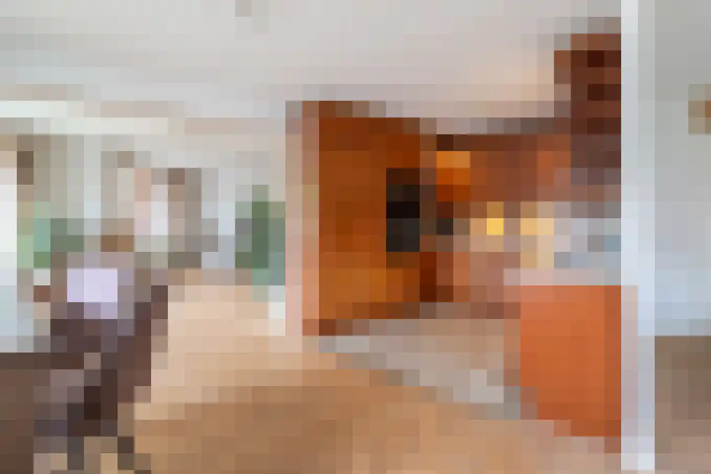 Varossieaupalet 33 Alphen aan den Rijn thumbnail 8