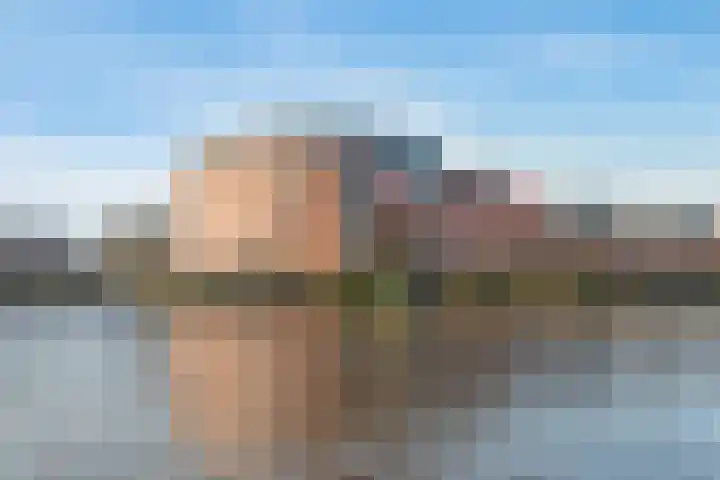 Varossieaupalet 43 in Alphen aan den Rijn