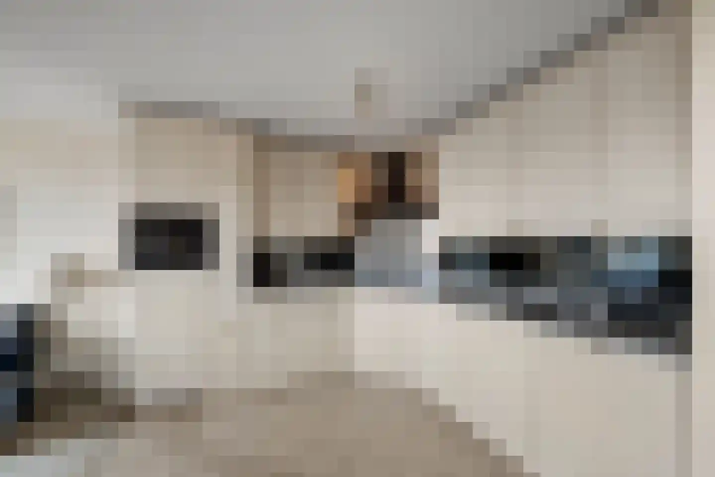 Varossieaupalet 43 Alphen aan den Rijn thumbnail 15