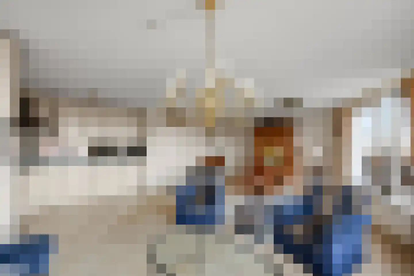 Varossieaupalet 43 Alphen aan den Rijn thumbnail 16