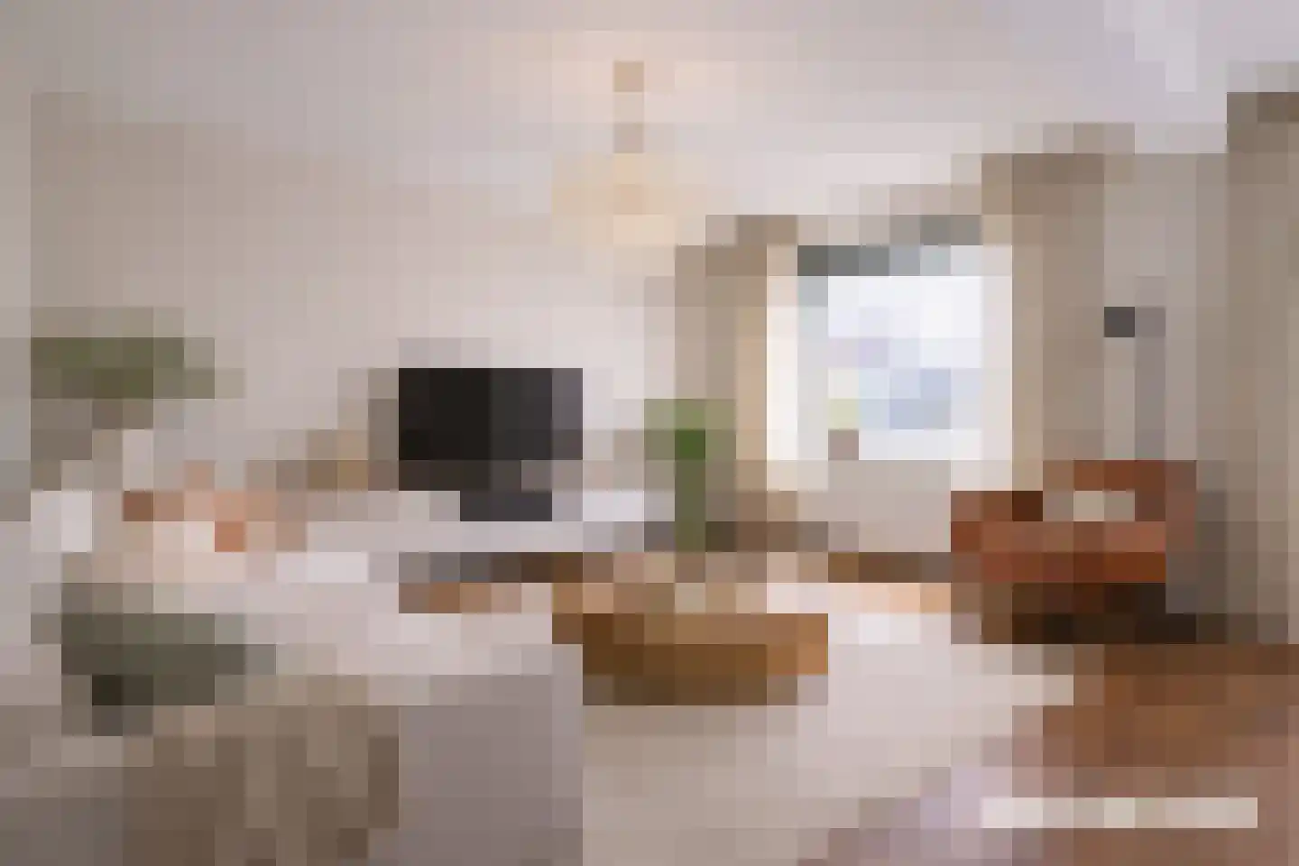 Varossieaupalet 7 Alphen aan den Rijn thumbnail 11