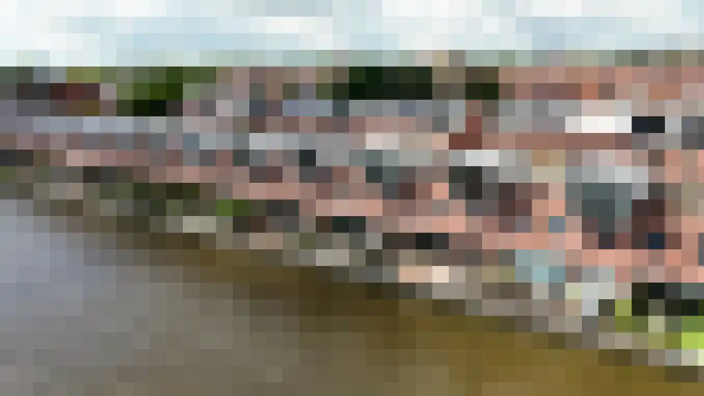 Varossieaupalet 7 Alphen aan den Rijn foto 2