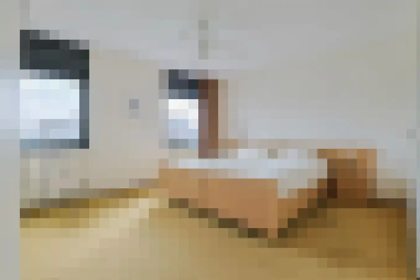 Varossieaupalet 7 Alphen aan den Rijn thumbnail 27