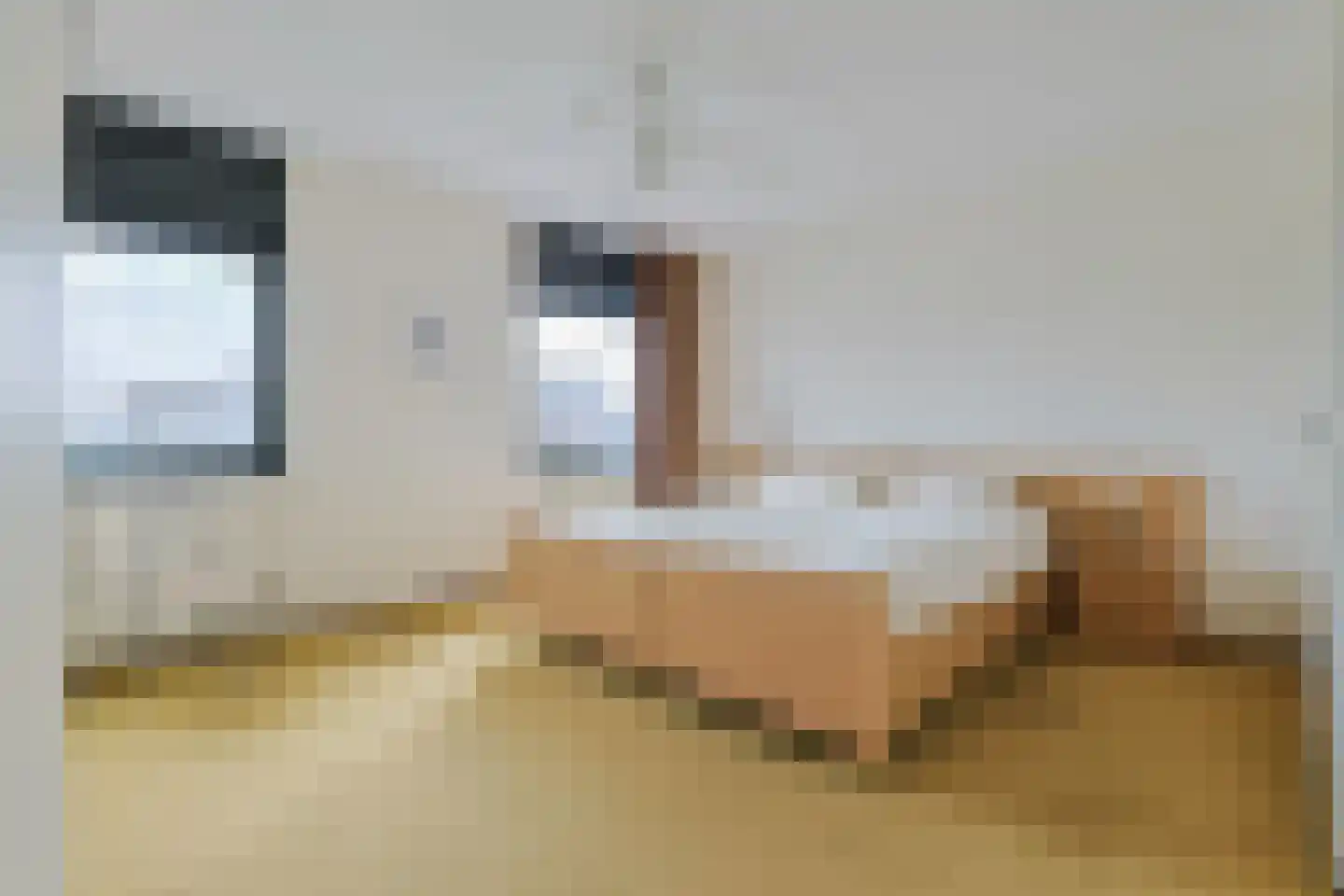 Varossieaupalet 7 Alphen aan den Rijn thumbnail 28