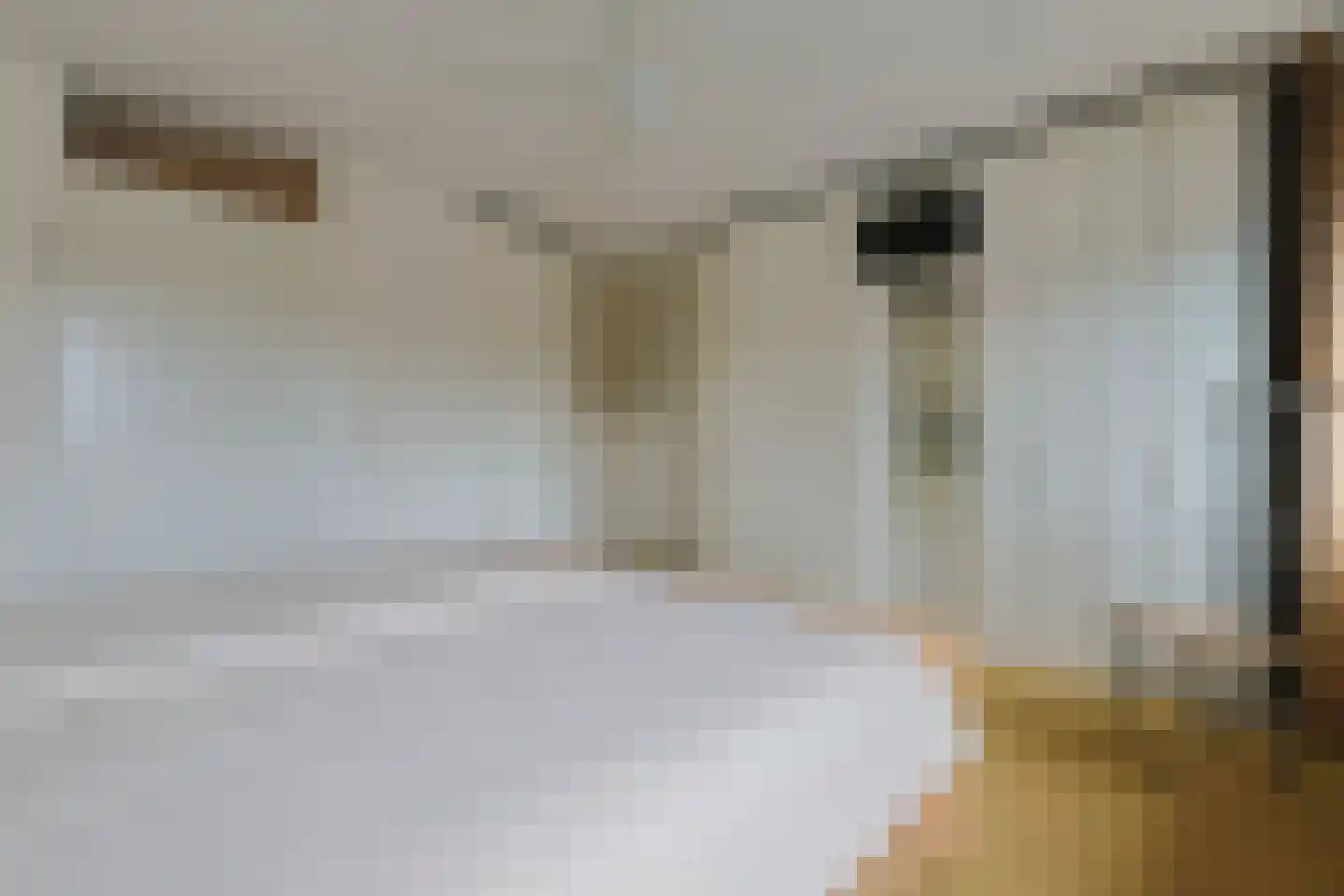 Varossieaupalet 7 Alphen aan den Rijn thumbnail 30