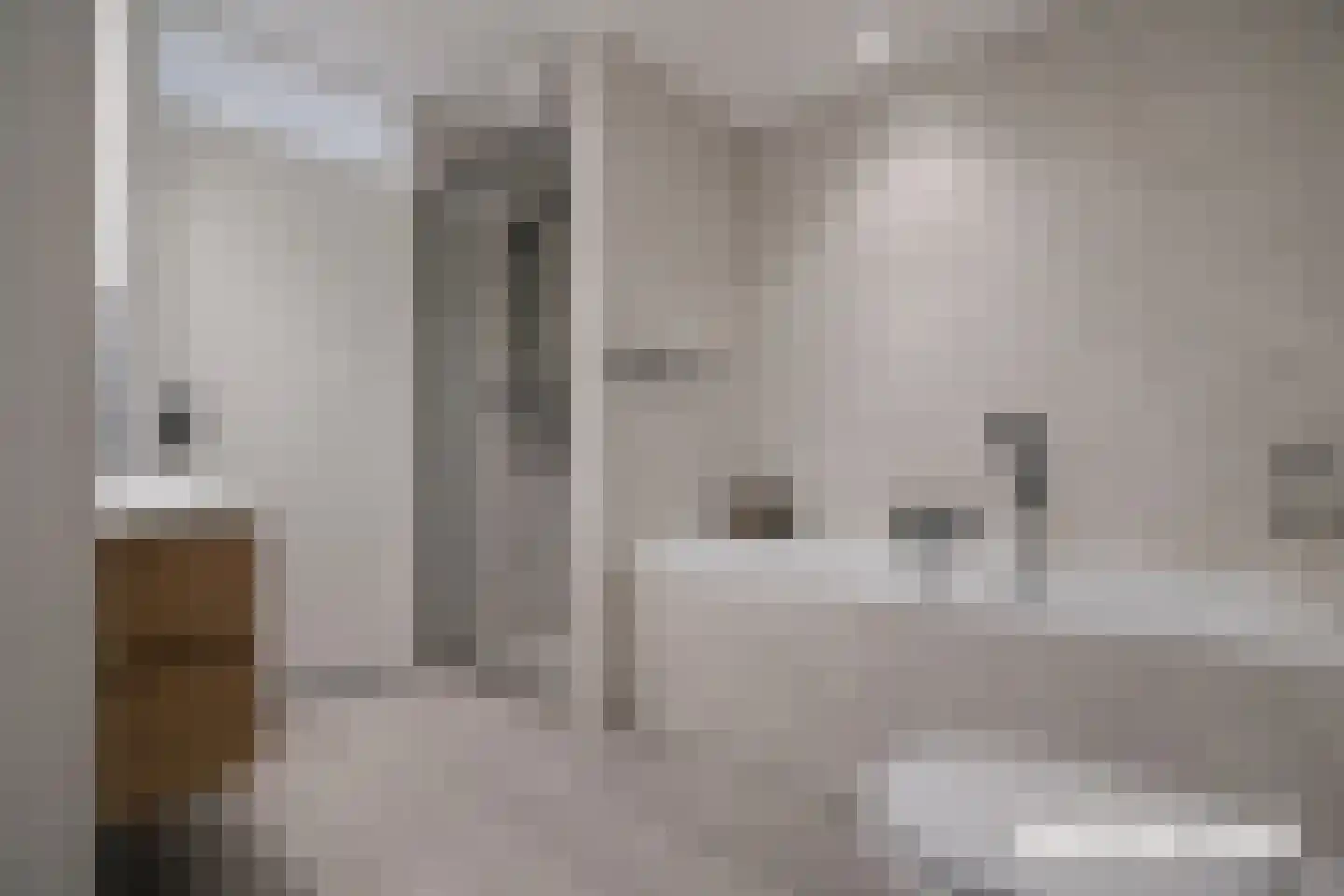 Varossieaupalet 7 Alphen aan den Rijn thumbnail 37