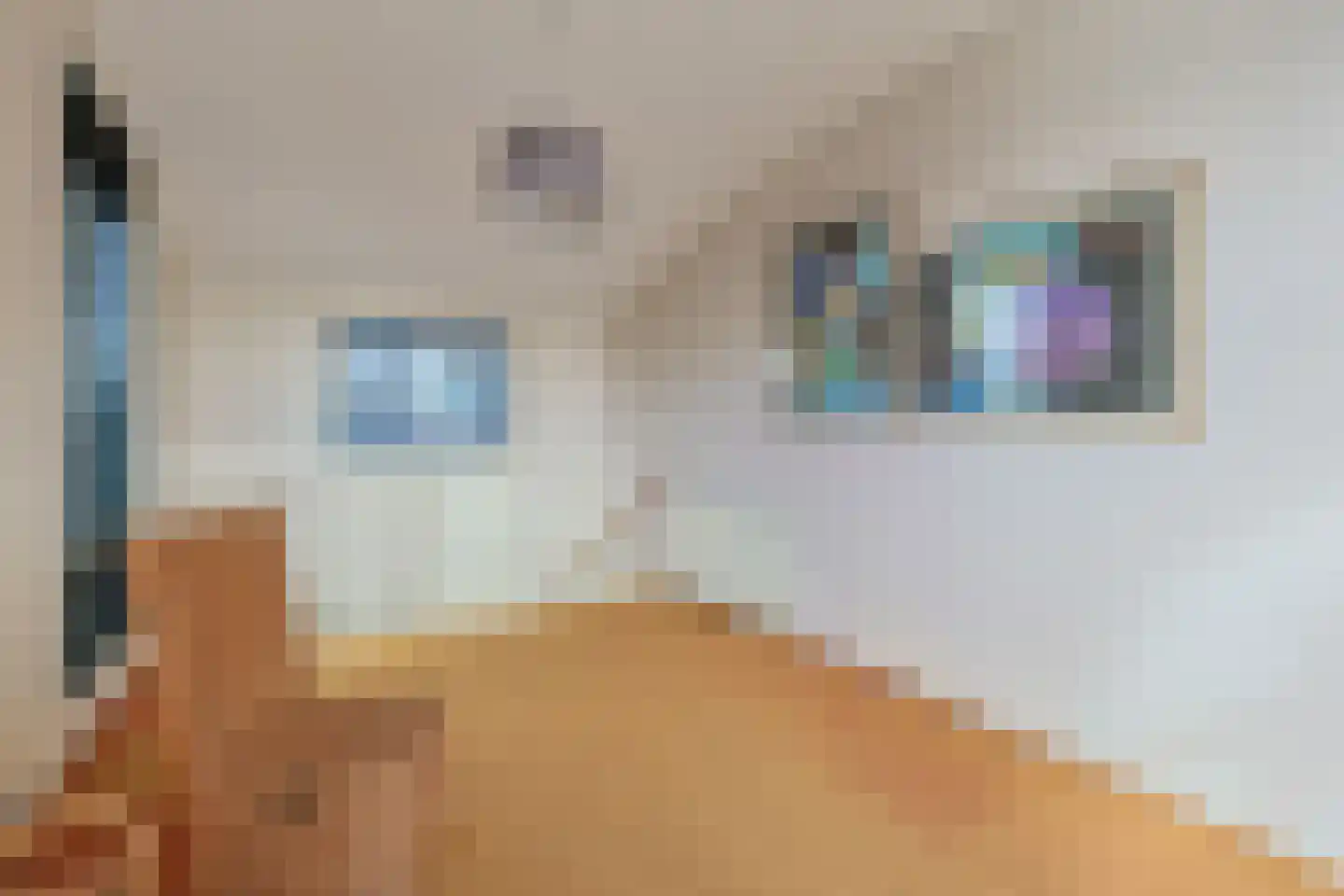 Varossieaupalet 7 Alphen aan den Rijn thumbnail 50