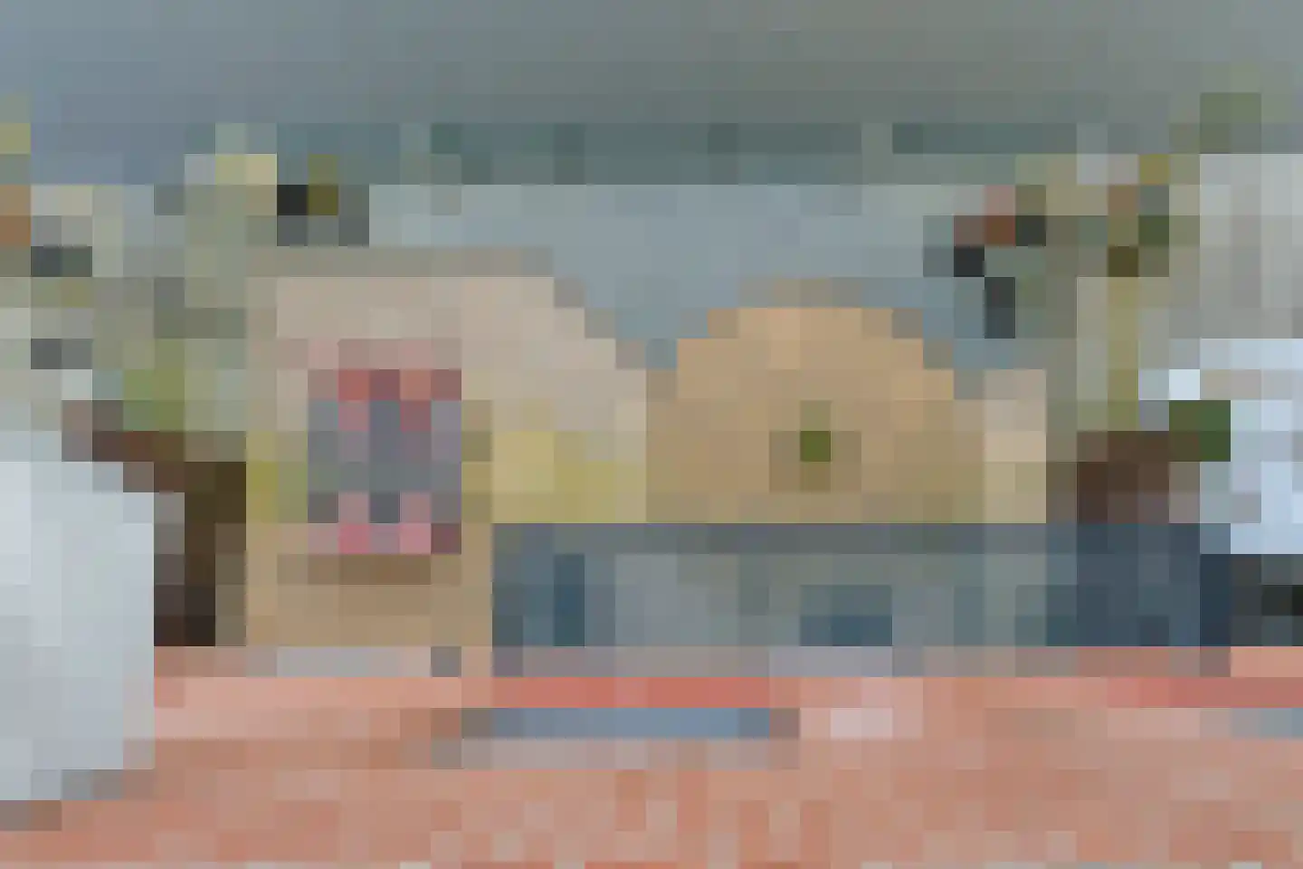 Varossieaupalet 7 Alphen aan den Rijn thumbnail 58