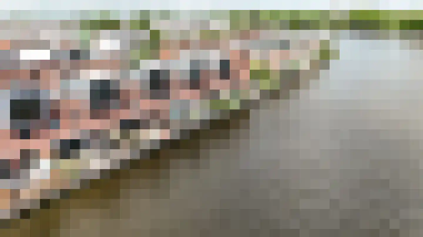 Varossieaupalet 7 Alphen aan den Rijn thumbnail 67