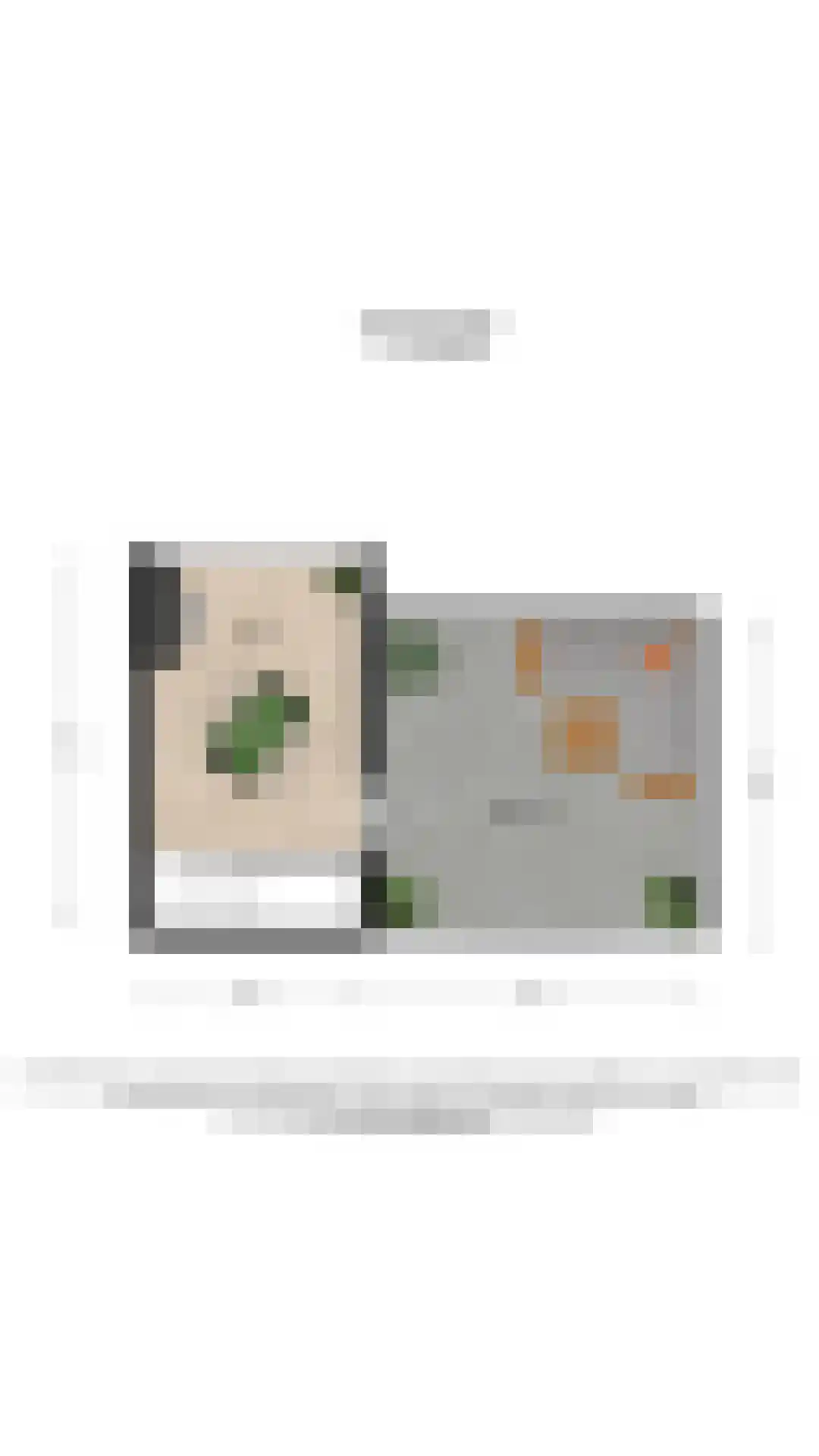 Varossieaupalet 7 Alphen aan den Rijn thumbnail 69