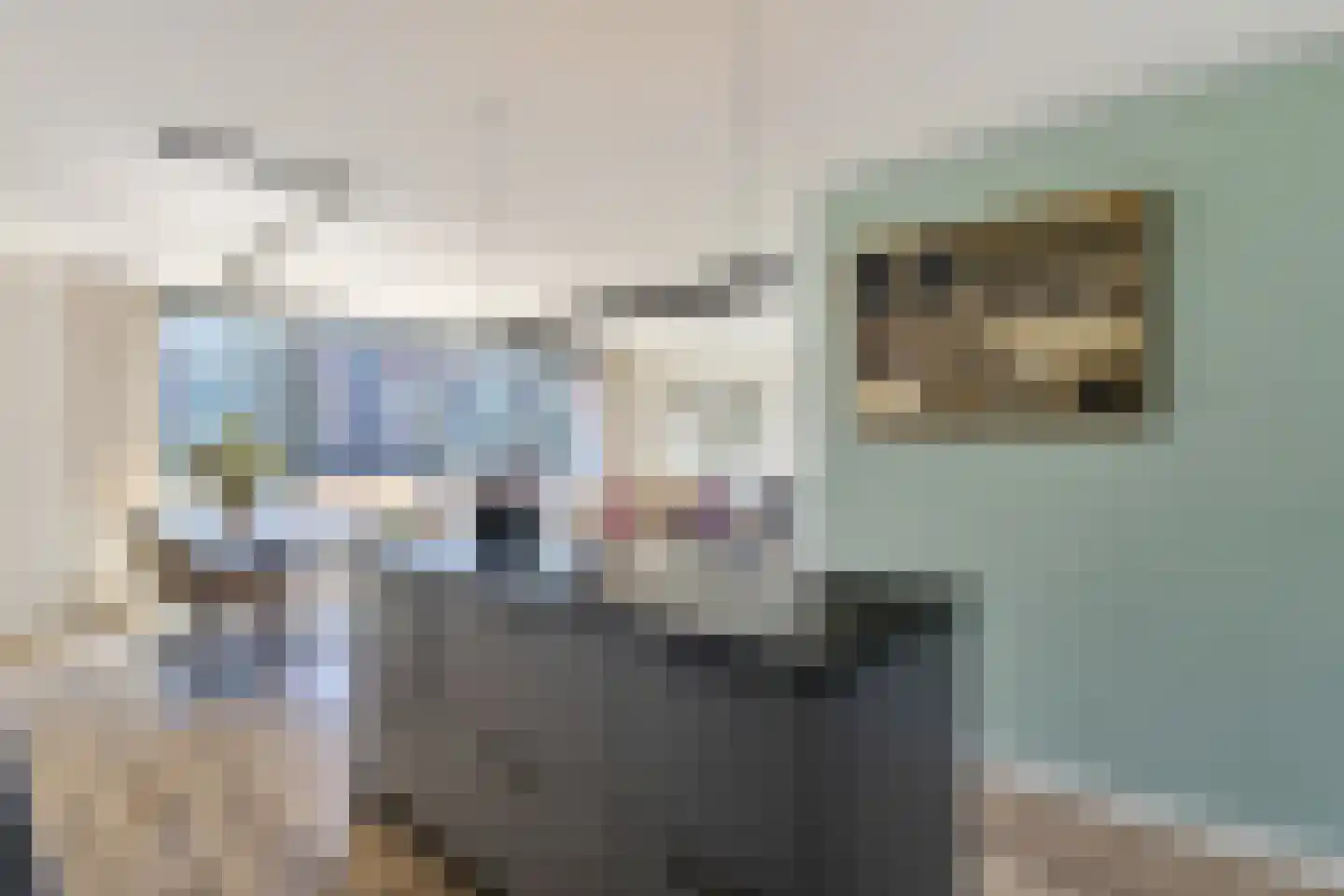 Varossieaupalet 71 Alphen aan den Rijn thumbnail 10