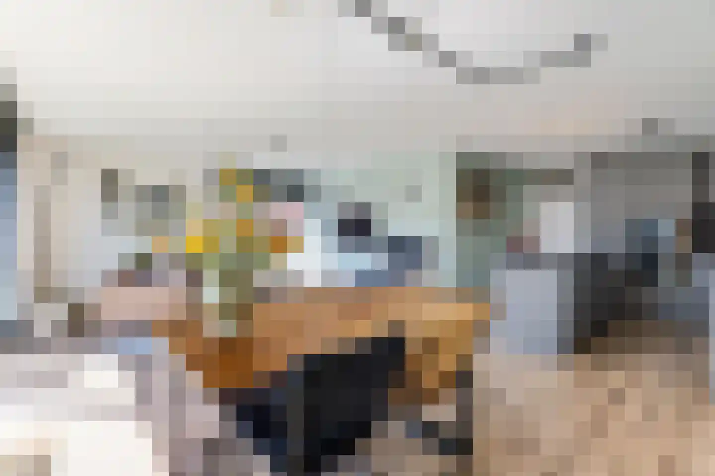 Varossieaupalet 71 Alphen aan den Rijn thumbnail 12
