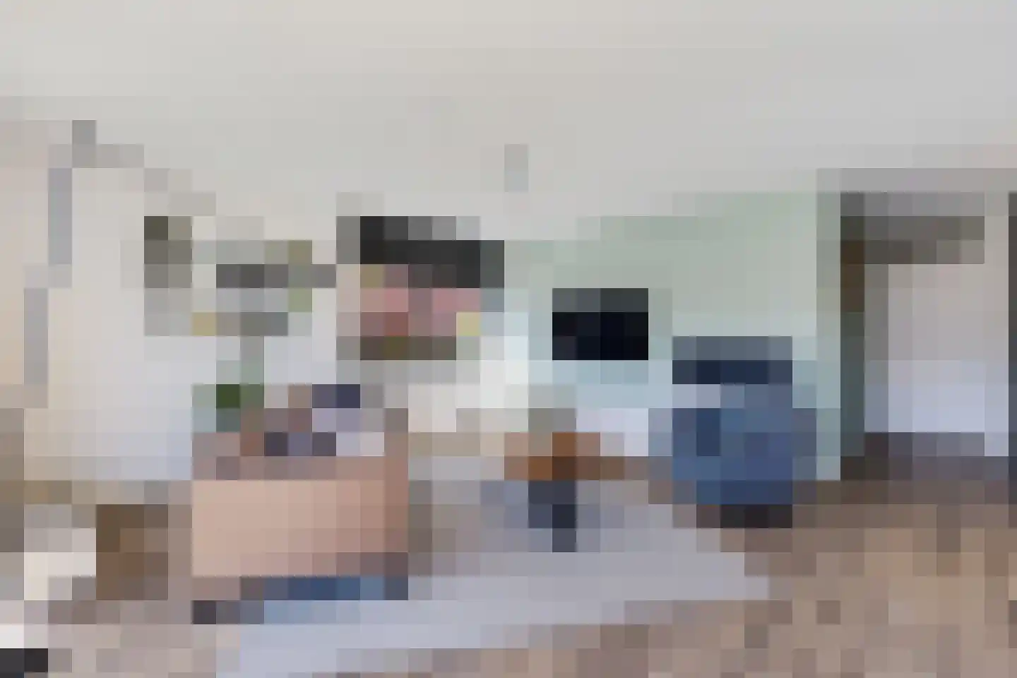 Varossieaupalet 71 Alphen aan den Rijn thumbnail 14