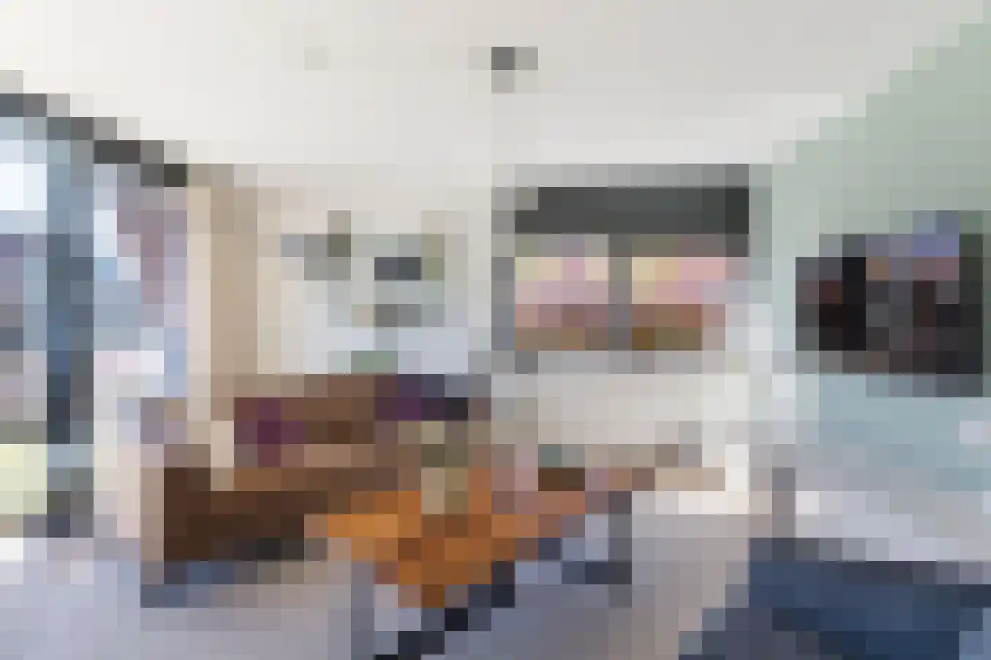 Varossieaupalet 71 Alphen aan den Rijn thumbnail 15