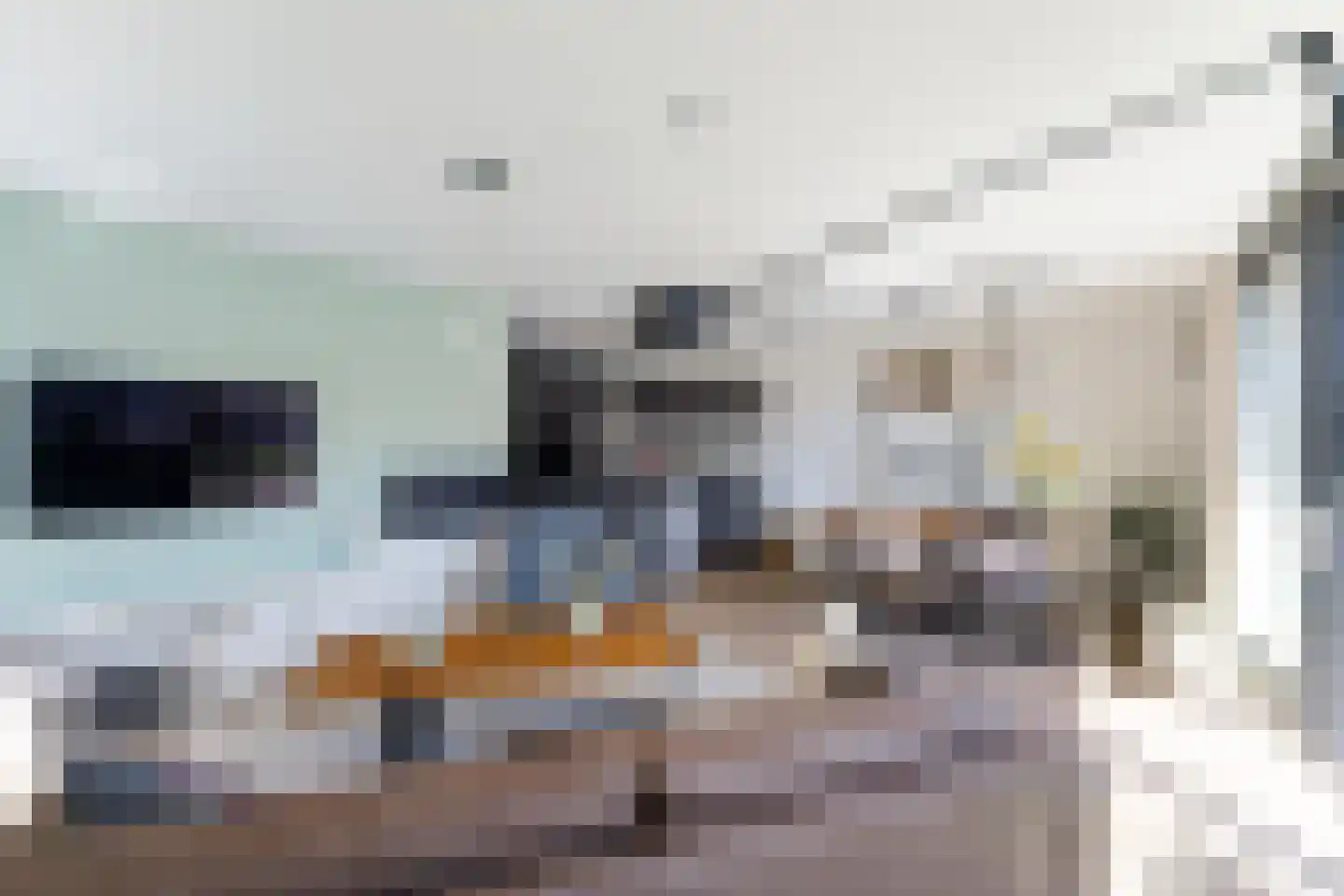 Varossieaupalet 71 Alphen aan den Rijn thumbnail 16
