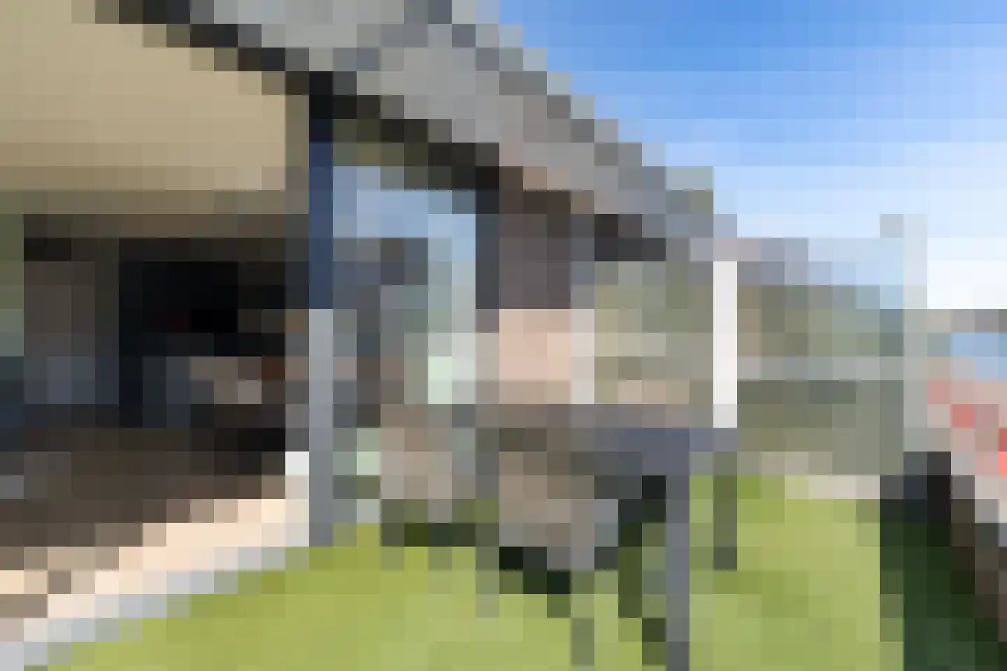 Varossieaupalet 71 Alphen aan den Rijn thumbnail 19
